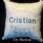 Baby Alphabet Music Box Pillow -- Personalized Embroidered MUSICAL Keepsake